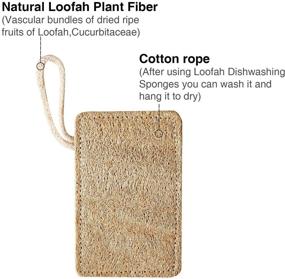 img 2 attached to 🧽 JEBBLAS 6 Pack Loofah Sponge Scrubbers - Compostable Cellulose Dish Scrubbers for Kitchen - Natural & Effective Cleaning Pads