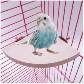 img 3 attached to 🐦 Comidox Wooden Parrot Bird Chinchilla Squirrel Cage Perches Rectangle Stand Platform Budgie Toys Bird Stand for Parakeets - Set of 1