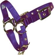 🐑 premium hamilton sheep halter: adjustable chin strap for optimal fit логотип