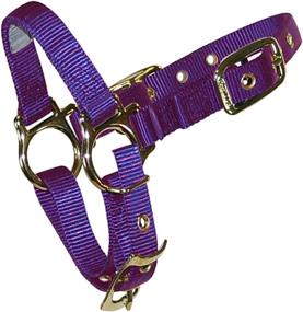 img 1 attached to 🐑 Premium Hamilton Sheep Halter: Adjustable Chin Strap for Optimal Fit