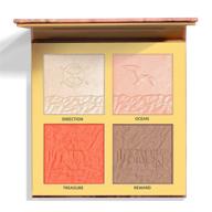 🎨 serseul contour highlighter palette - 4 shades for bronzer, highlighter & blush - vibrant shimmer face highlighter powder palette - cruelty-free makeup with highly pigmented colors logo