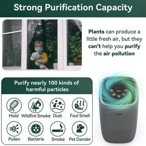 img 1 attached to YIOU Air Purifier for Large Rooms: H13 True HEPA Filter, 99.98% Allergen Removal, 547ft² Coverage, Ultra-Quiet - Ideal for Allergies & Pets, California Approved - Grey