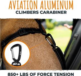 img 2 attached to Mighty Paw Dog Seatbelt: Premium Pet Safety Belt with Adjustable Length Strap, Constructed with Human Seatbelt Material and Durable All-Metal Hardware. Enhance Your Dog's Car Safety!