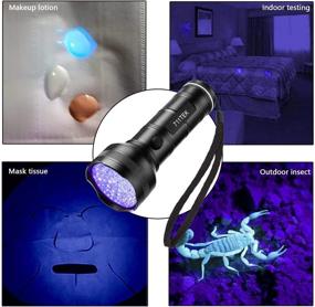 img 1 attached to 🔦 711TEK UV Flashlight Black Light: Powerful Pet Urine Detector & Stain Revealer with 51 LEDs - Perfect for Dogs, Cats, Bed Bugs & Dry Stains!