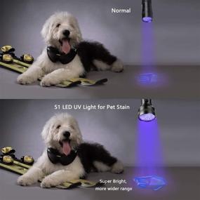 img 3 attached to 🔦 711TEK UV Flashlight Black Light: Powerful Pet Urine Detector & Stain Revealer with 51 LEDs - Perfect for Dogs, Cats, Bed Bugs & Dry Stains!