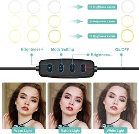 img 1 attached to ECOOLBUY LED Ring Light Portable Folding 10Inch12Inch Make Up RingLight Tripod Stand For YouTube Video