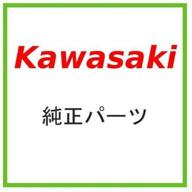 high-quality kawasaki 49019-0013 🔎 fuel filter for optimal engine performance logo