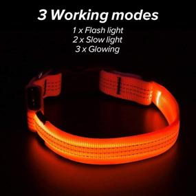 img 3 attached to Clan_X Rechargeable Lighted Adjustable Collars