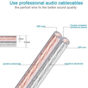 img 3 attached to 🔊 Аудиофильский кабель для акустических систем высокого качества 13AWG | Предварительно подключенные банановые разъемы | Позолоченные кончики | Медь OFC | Длина 2 м | Конструкция без кислорода