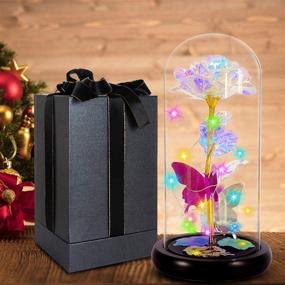 img 1 attached to 🌹 Christmas Rose: Preserved Flower with LED Galaxy Design - Ideal Xmas Gifts for Women: Her, Wife, Girlfriend, Kids, Valentine Day, Mothers Day, Birthday, Christmas, Thanksgiving
