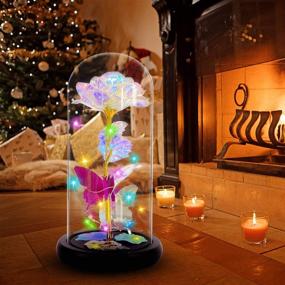 img 3 attached to 🌹 Christmas Rose: Preserved Flower with LED Galaxy Design - Ideal Xmas Gifts for Women: Her, Wife, Girlfriend, Kids, Valentine Day, Mothers Day, Birthday, Christmas, Thanksgiving