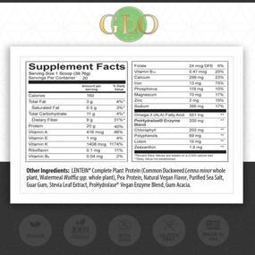 img 2 attached to 🌱 GLO Веганский 3-в-1 протеиновый порошок с Lentein - Плотное питание на основе растительных Б-12, Омег, Железа и Суперфудов - Ванильно-имбирный чай: Природное улучшение вашего здоровья