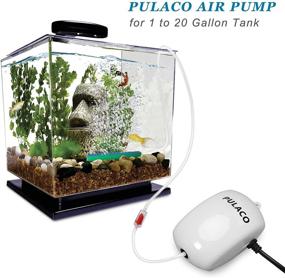 img 2 attached to 🐠 PULACO Ultra Quiet Mini Aquarium Fish Tank Air Pump: Ideal for 1-20 Gallon Fish Bowls - Enhance Oxygenation with Air Tube, Bubbler Stone & Check Valve