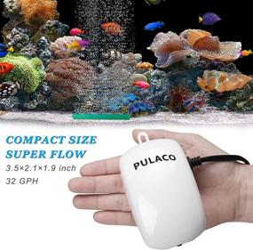 img 1 attached to 🐠 PULACO Ultra Quiet Mini Aquarium Fish Tank Air Pump: Ideal for 1-20 Gallon Fish Bowls - Enhance Oxygenation with Air Tube, Bubbler Stone & Check Valve