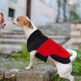 img 2 attached to Warm and Windproof Dog Winter Coats - PETCEE Dog Jackets for 🐶 Small, Medium, and Large Dogs - Cold Weather Pet Clothes Jackets - Sizes XS-XXL