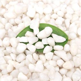 img 1 attached to 🪨 18 Pounds of White Pebbles: Premium Decorative Aquarium Gravel, Garden Ornamental Rocks & Vase Fillers, Natural Polished White Stones for Landscaping