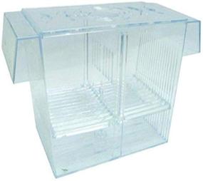 img 1 attached to 9x4x4.5-Inch Fish Hatchery Tank by YML