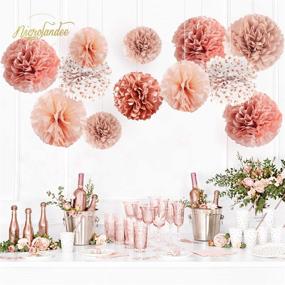 img 1 attached to 🌸 NICROLANDEE Rose Gold Burnt Coral Tissue Paper Pom Poms - Pack of 12 for Wedding Engagement, Birthday, Bridal Shower, Bachelorette, Baby Shower Decorations - Ideal for Ceiling and Party Backdrop Décor