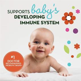 img 2 attached to 👶 Kапли с пробиотиками Align для малышей и грудных детей - Рекомендуемый топовый бренд врачами, Поддерживает иммунную систему, 25 доз для облегчения колик, устранение плача и нервозности
