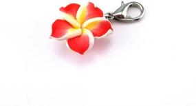 img 1 attached to 🌺 20pcs Assorted Color Frangipani Flower Dangle Charms Pendant with Lobster Clasp - Ideal for Jewelry Making Accessory, Fit Floating Locket Charms Necklaces by Yueton