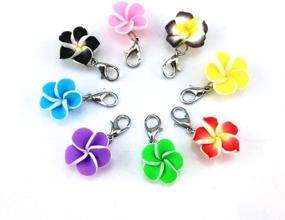 img 3 attached to 🌺 20pcs Assorted Color Frangipani Flower Dangle Charms Pendant with Lobster Clasp - Ideal for Jewelry Making Accessory, Fit Floating Locket Charms Necklaces by Yueton