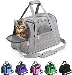 img 4 attached to Prodigen Pet Carrier - Airline Approved Dog & Cat Carrier for Small Pets