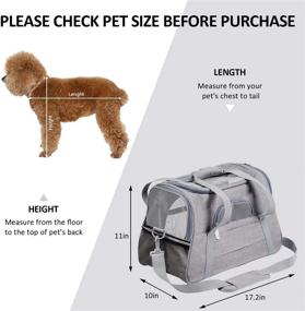 img 1 attached to Prodigen Pet Carrier - Airline Approved Dog & Cat Carrier for Small Pets