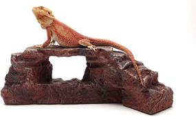 img 4 attached to 🦎 Rock Arch Habitat Accessory for Reptiles in Carolina Custom Cages - Dark Maroon
