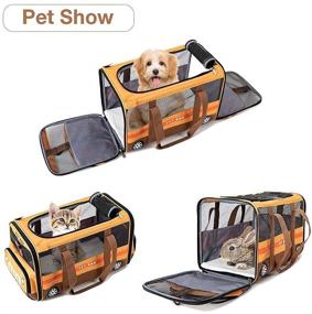 img 1 attached to 🐾 Lekesky Pet Carrier Bag for Large Cats and Small Dogs - TSA Approved, Airline Travel-Friendly, Cute Bus Dog Carrier for Puppy