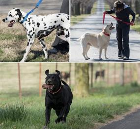 img 1 attached to 🐶 Hatfield Pet Specialties Dog Collar: Premium Quality Nylon Mesh, Adjustable & Comfortable Control Collar