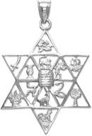 🕍 premium 925 sterling silver jewish star of david charm pendant with 12 tribes of israel logo