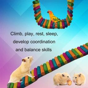 img 2 attached to 🐹 Flexible Bendy Climbing Ladder Hanging Wooden Chew Toy for Hamsters, Birds, Parrots, Guinea Pigs, Chinchillas, Chipmunks, Sugar Gliders, Gerbils, Mice, Squirrels, and Small Animals (Pack of 2) - HAMILEDYI Hamster Rainbow Bridge