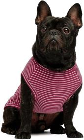 img 2 attached to Fitwarm 2-Pack 100% Cotton Striped Dog Shirt: Pet 🐾 Clothes for Stylish Puppies & Cats - Breathable & Stretchy Tee