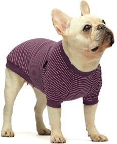 img 3 attached to Fitwarm 2-Pack 100% Cotton Striped Dog Shirt: Pet 🐾 Clothes for Stylish Puppies & Cats - Breathable & Stretchy Tee