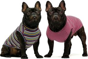 img 4 attached to Fitwarm 2-Pack 100% Cotton Striped Dog Shirt: Pet 🐾 Clothes for Stylish Puppies & Cats - Breathable & Stretchy Tee