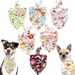 pet show triangle costumes accessories logo
