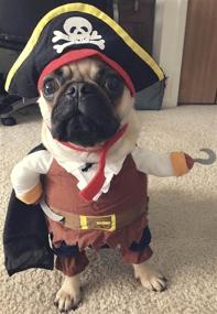 img 1 attached to 🏴 Topsung Cool Caribbean Pirate Pet Costume: Perfect for Small to Medium Dogs and Cats this Halloween