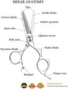 img 2 attached to 🏻 Dream Reach 6.0in Hair Scissors Set: Barber Shears & Thinning/Texturizing Scissors - Japanese Steel, Razor Sharp (Bright Silver)