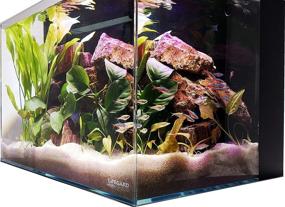 img 1 attached to LIFEGARD Ultra Clear Crystal Aquarium- Low Iron, Built-in Back Filter, Rimless Glass, Beveled Edge, Rectangular Style- Directional Jet Flow- 24 GPH