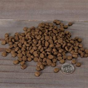 img 2 attached to 🐱 Nulo Adult & Kitten Grain Free Dry Cat Food - Small Kibble Pieces