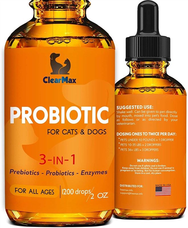 are probiotics safe pregnant dog