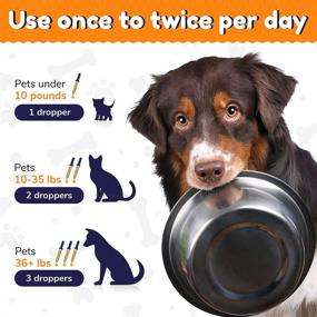 img 1 attached to 🐾 Премиум пробиотики для домашних животных: оптимальная поддержка пищеварения для собак и кошек.