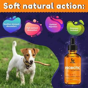 img 3 attached to 🐾 Premium Pet Probiotics: Optimal Digestive Support for Dogs and Cats