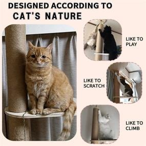 img 1 attached to 🐱 Ultimate Cat Climbing Tower: Floor-to-Ceiling Cat Tree with Sisal Rope Scratching Post, Height Options: 92.9-100.8Inch / 100.4-108.3Inch / 107.5-116.1Inch