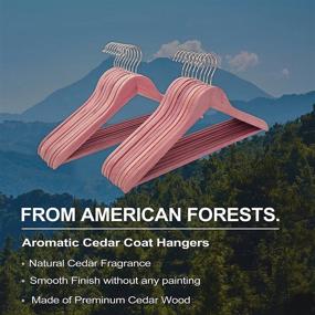 img 3 attached to 👗 FairyHaus 24-Pack of Natural Cedar Hangers - Smooth Finish Wooden Coat Suit Hangers, Slim & Flat Cedar Wood Shirt Hangers with 360° Rotating Hook, Durable Cedar Clothes Hangers