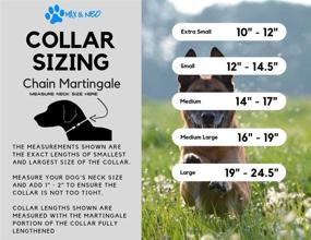 img 1 attached to 👥 Max and Neo Stainless Steel Chain Martingale Collar: Saving Lives with Every Purchase