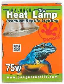 img 1 attached to Pangea Halogen Heat Lamp Reptiles