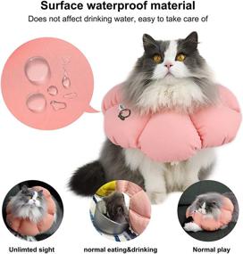img 1 attached to 🐱 HiDREAM Кошачий воротник-колоколка: Милый, водонепроницаемый и антикусательный воротник для востановления кошек
