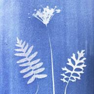 🌞 high sensitivity suncreations cyanotype paper for sunprint nature printing, 8.2'' x 11.4'' a4 size, 12-sheets activated by sun/solar (paleblue back) logo
