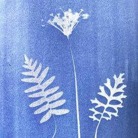 img 4 attached to 🌞 High Sensitivity SunCreations Cyanotype Paper for Sunprint Nature Printing, 8.2'' x 11.4'' A4 Size, 12-Sheets Activated by Sun/Solar (PaleBlue Back)